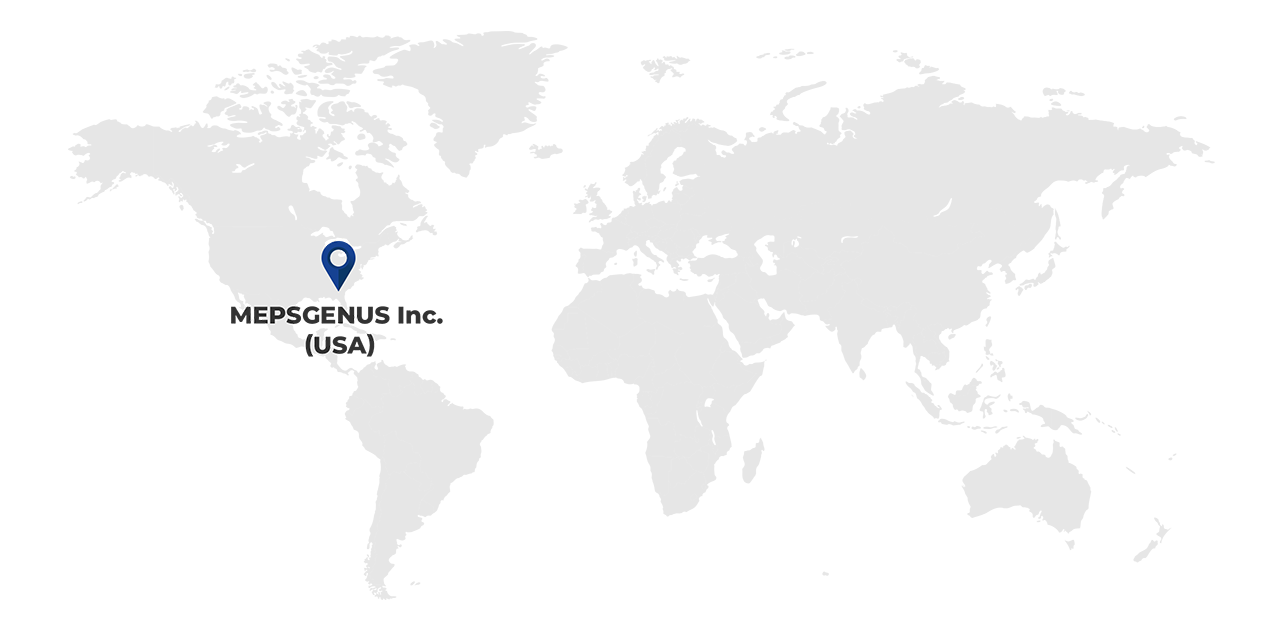 Overseas Subsidiaries